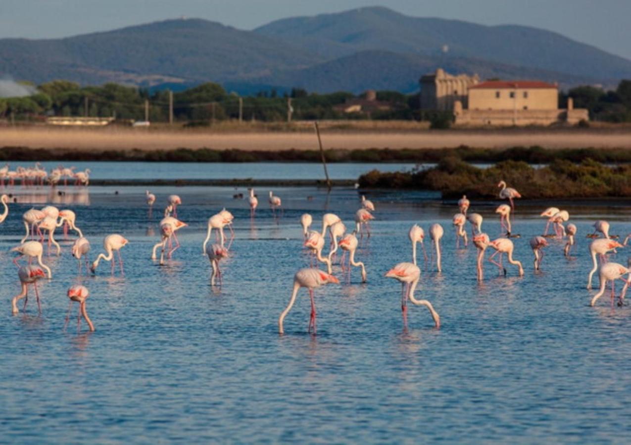 Affittacamere Orbetello Centro Exterior photo